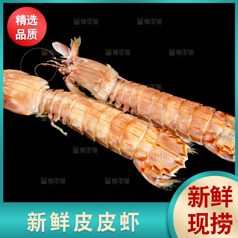 黑底上的富贵虾