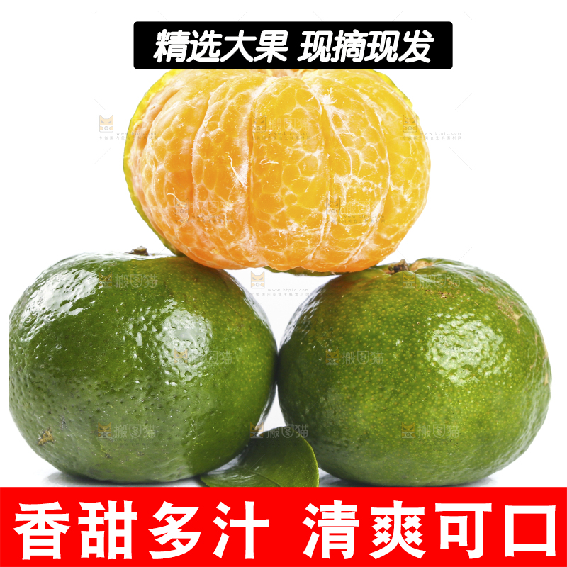 白底上的桂林清香蜜桔