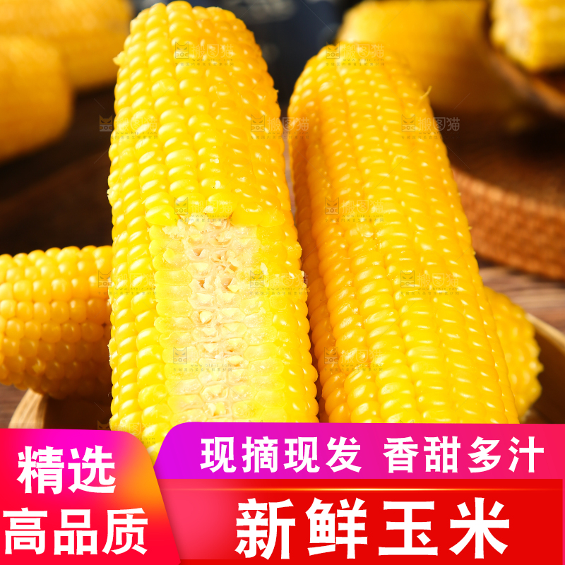 蒸笼里的玉米棒