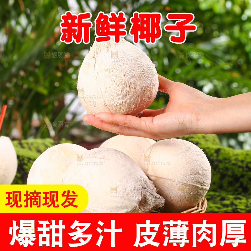 手里拿着毛椰子