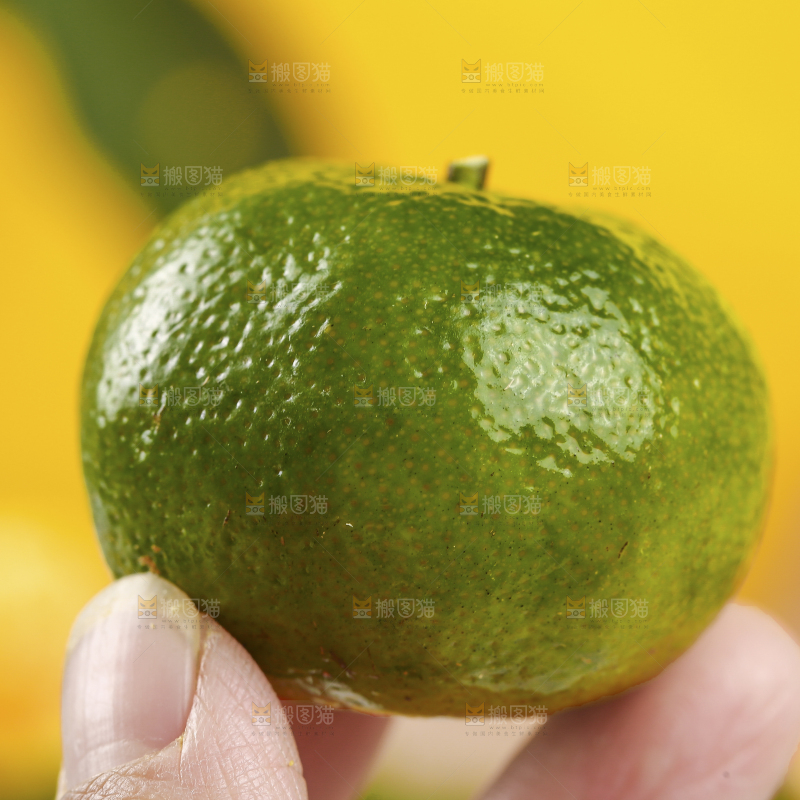 手里拿着青皮橘