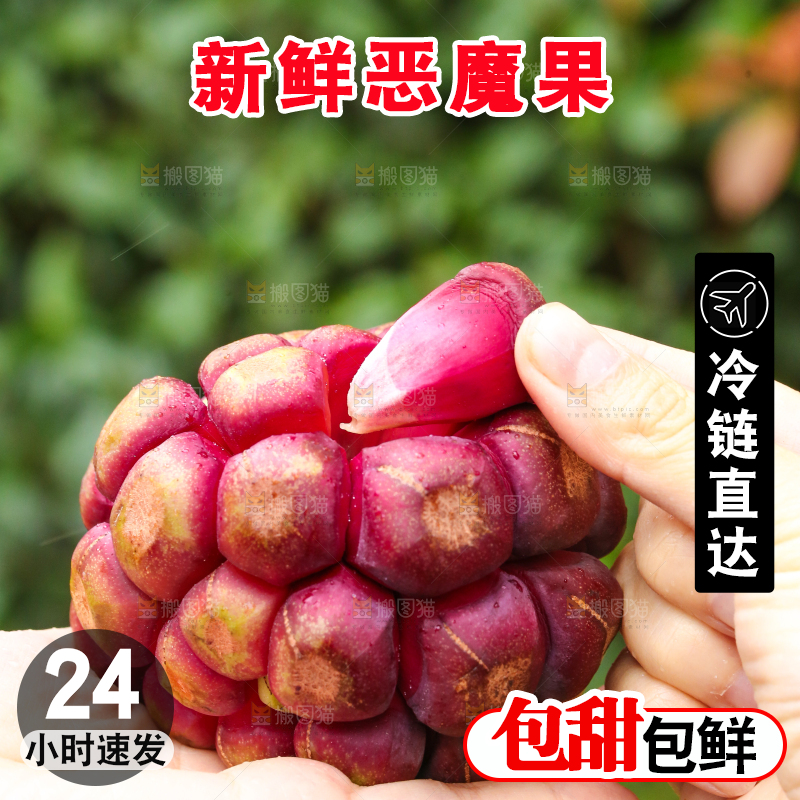 手里拿着恶魔果