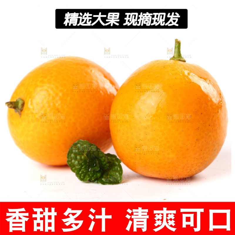 白底上放着黄皮金桔