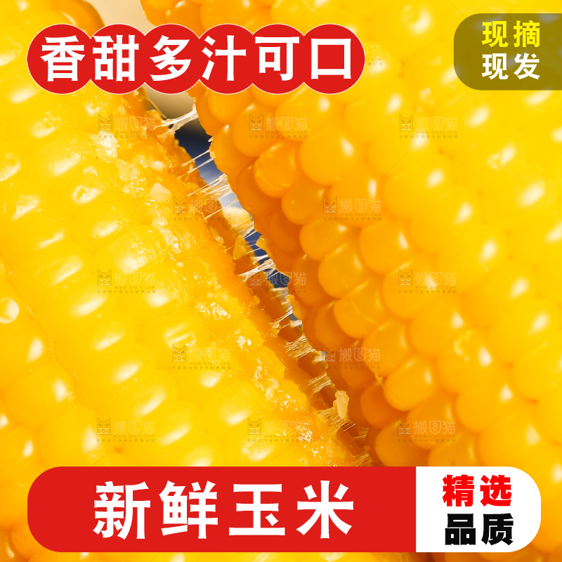 手里拿着黄糯玉米