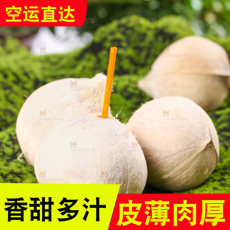 草坪上摆放着牛奶香椰