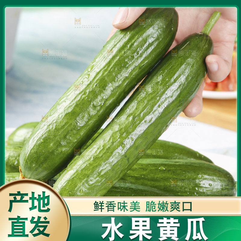 手里拿着无刺黄瓜