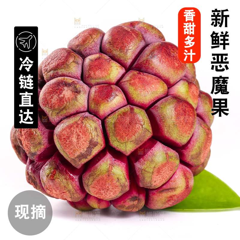 白底上的美容长寿果