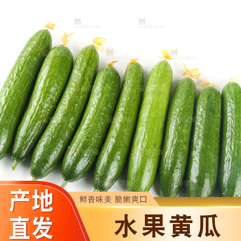 白底上放着一堆山东水果黄瓜