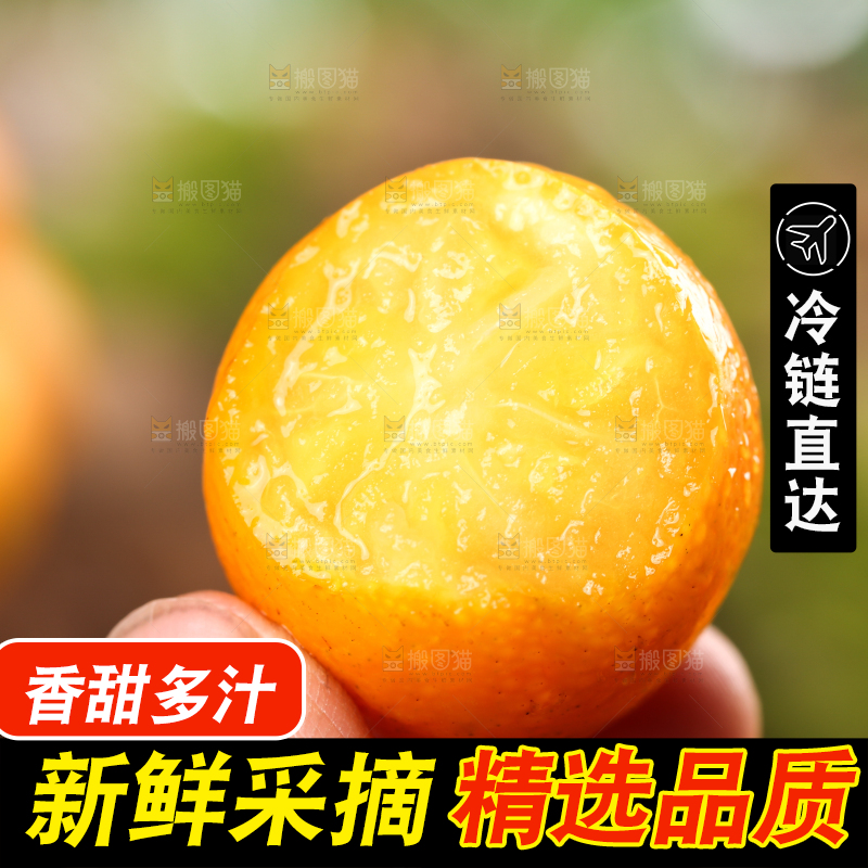 手里拿着金桔