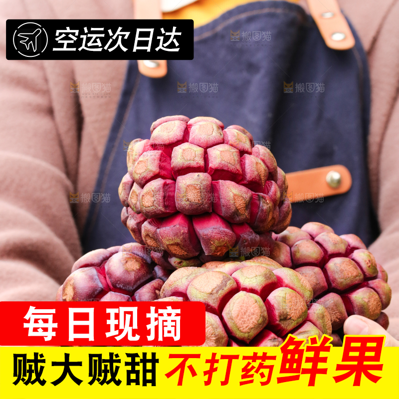 手里捧着血藤果