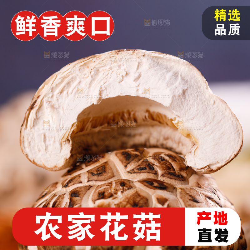 一堆长白山花菇
