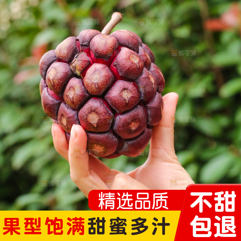 手里拿着恶魔果