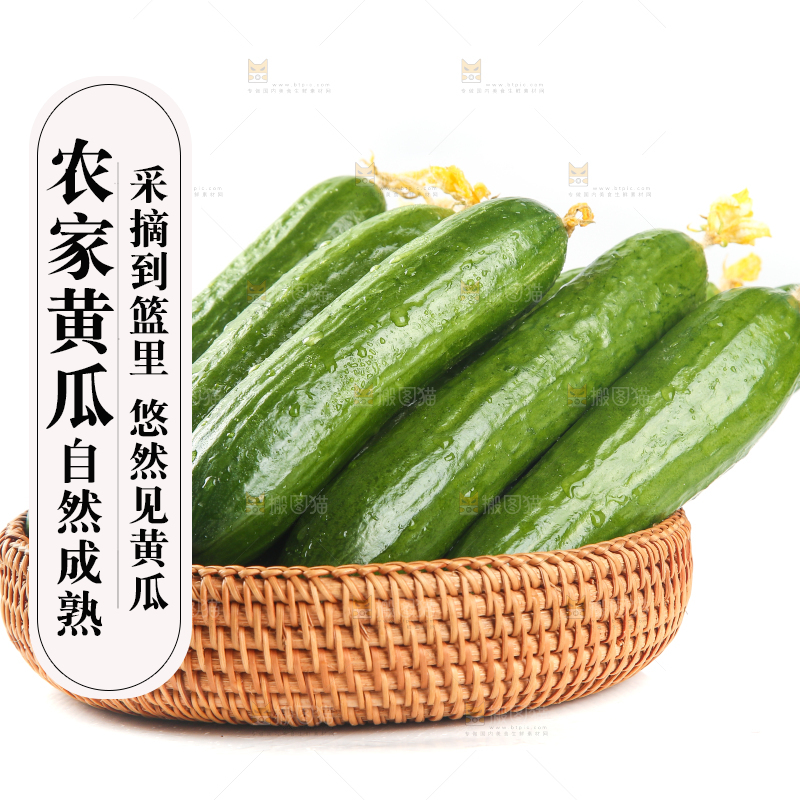 篮子里的无刺黄瓜