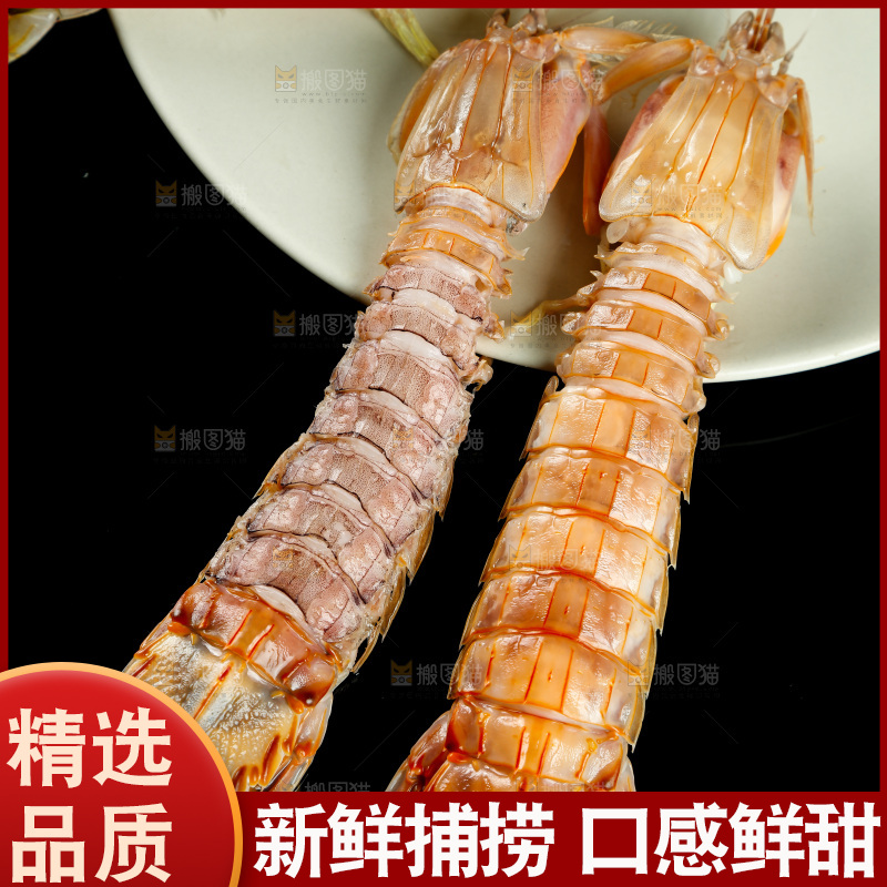 黑底上的富贵虾