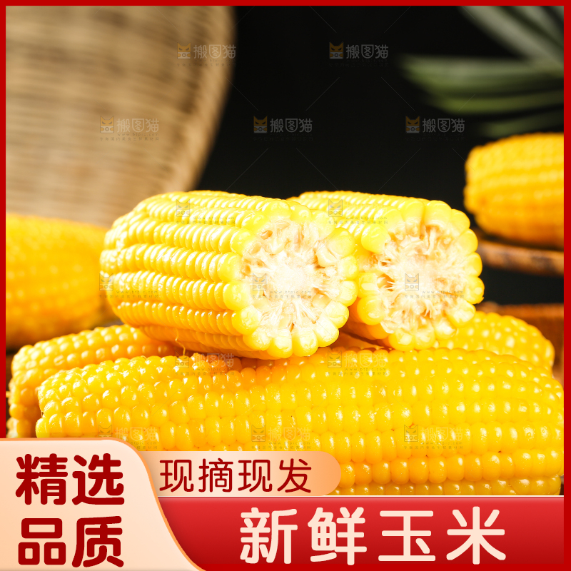 一堆玉米棒
