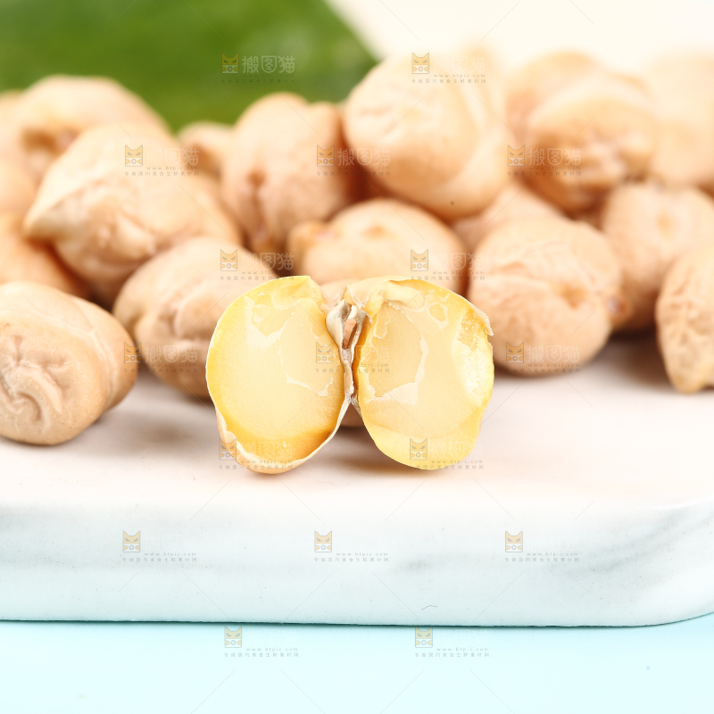石垫上的新疆鹰嘴豆