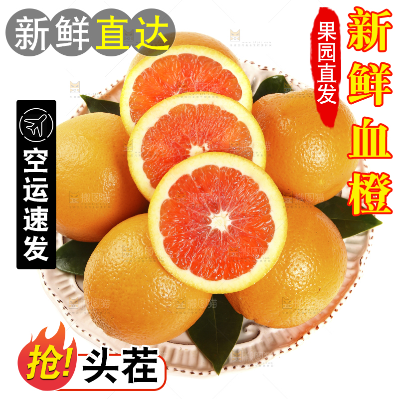 一盘血橙摆放在白底上