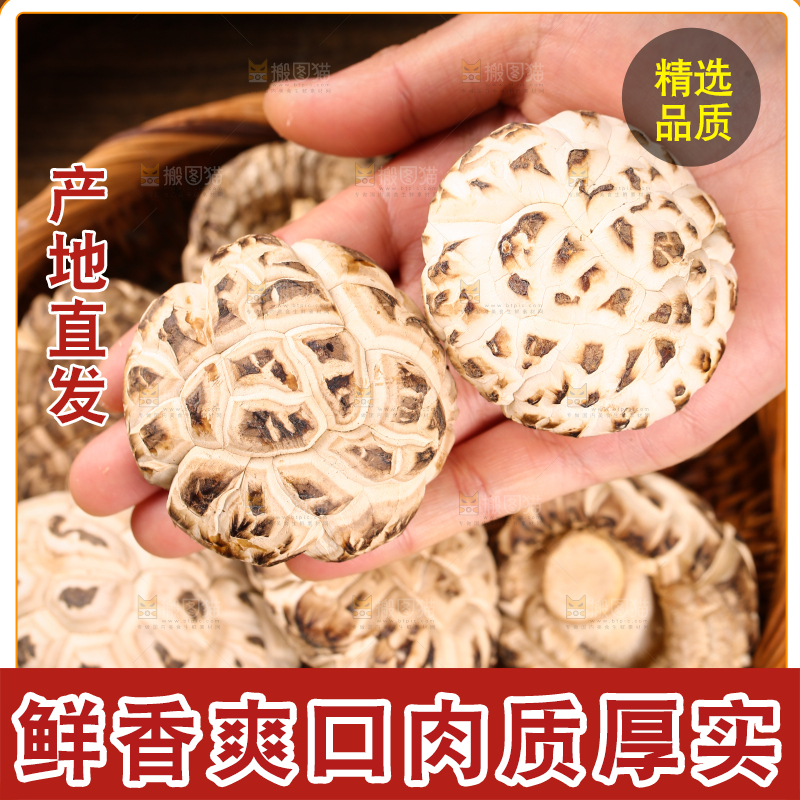手里拿着花菇
