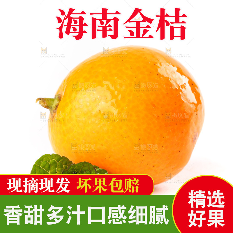 白底上放着黄皮金桔