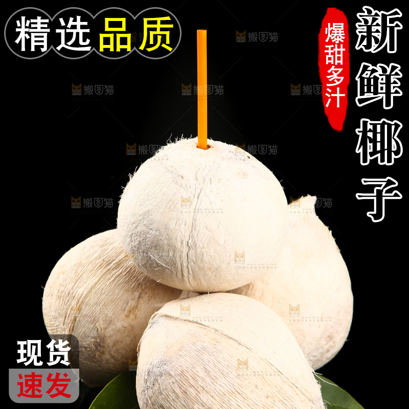 黑底上的牛奶椰子