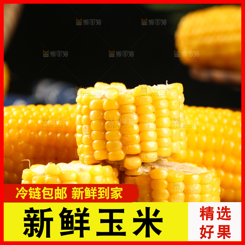 木板上的东北黄糯玉米
