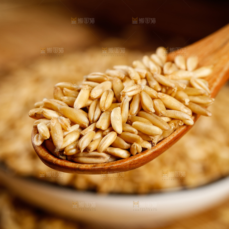勺子上舀着燕麦仁