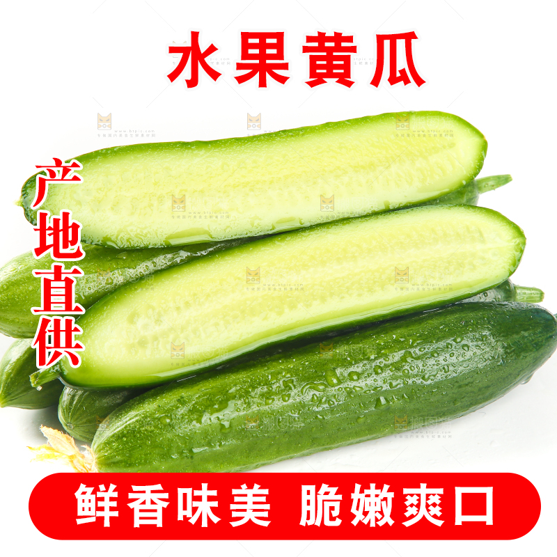 白底上放着一堆山东水果黄瓜