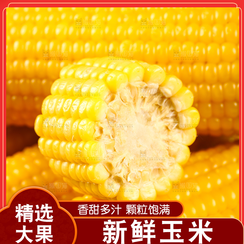一堆玉米棒