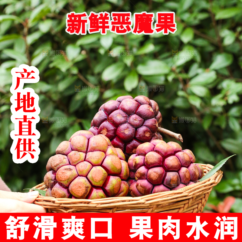 手里端着一篮福娜果黑老虎