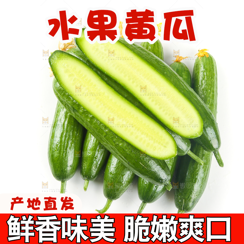 白底上放着一堆山东水果黄瓜