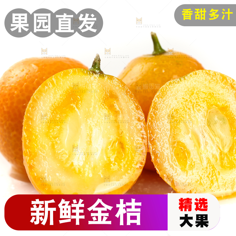 融安小金桔摆放在白底上