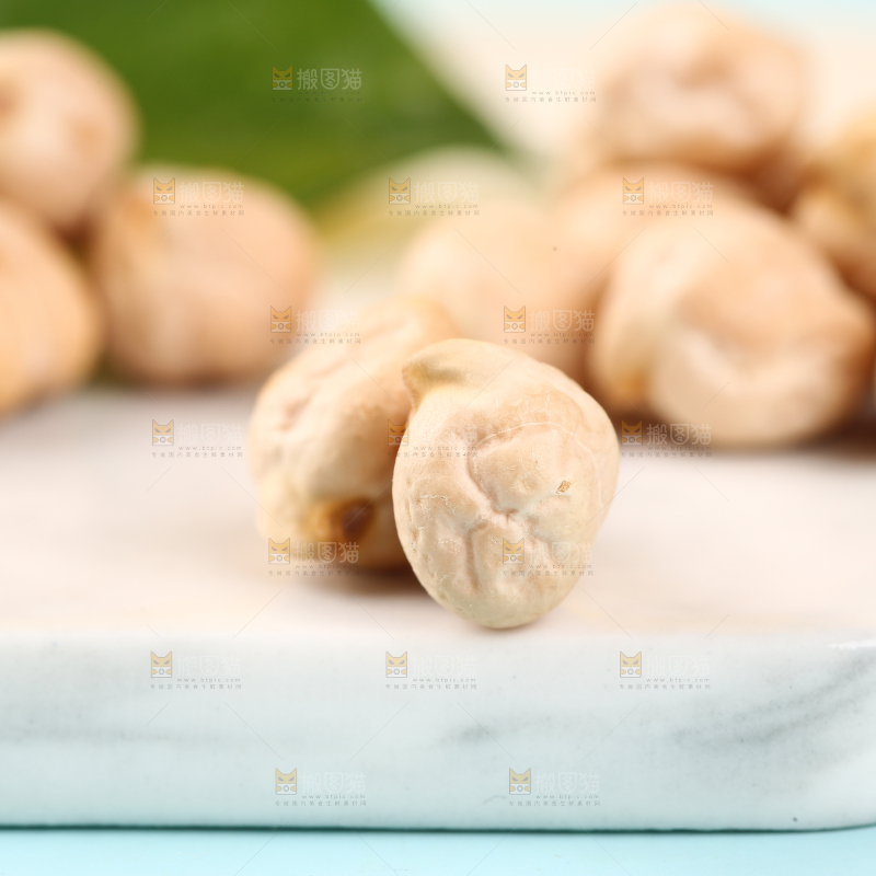 石垫上的新疆鹰嘴豆