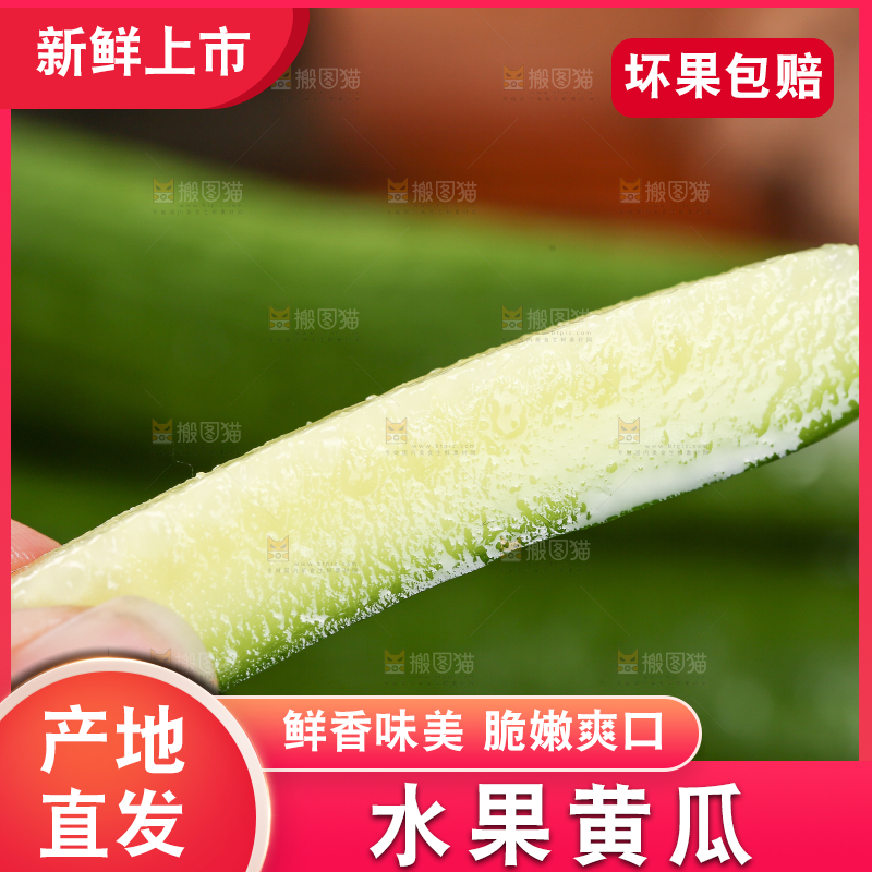 手里拿着一块黄瓜
