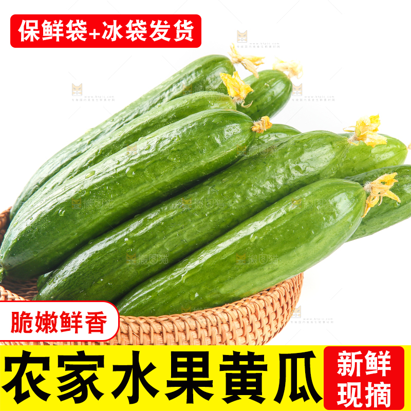 篮子里的无刺黄瓜