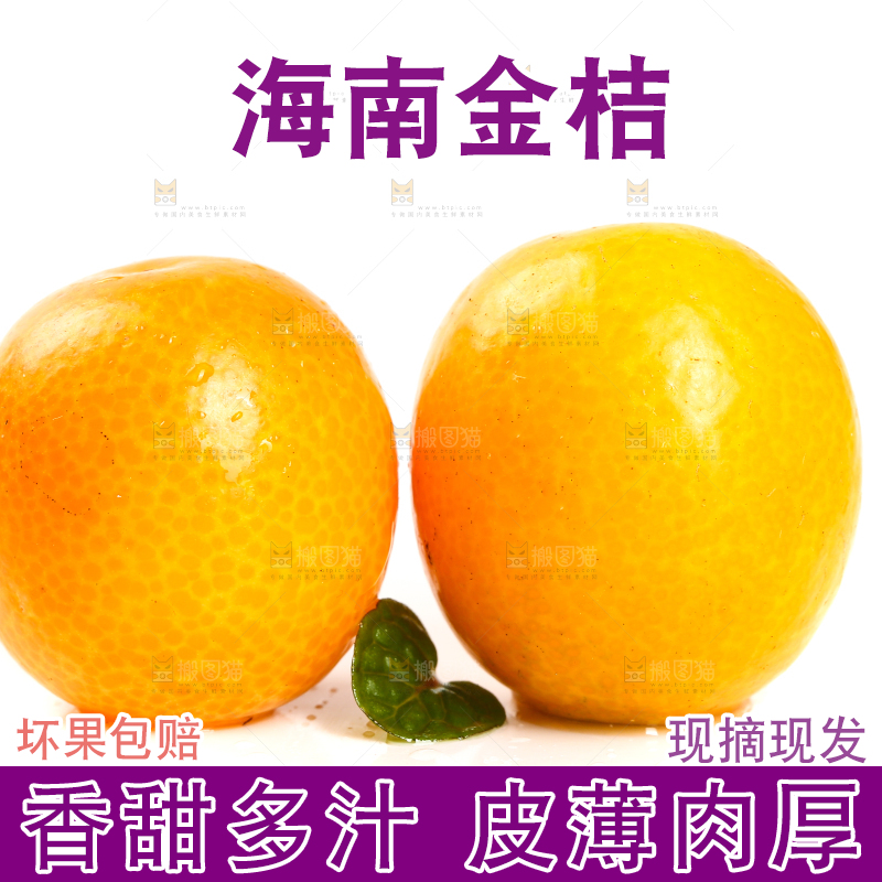 白底上放着黄皮金桔