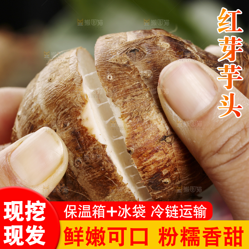 手里拿着红芽芋头
