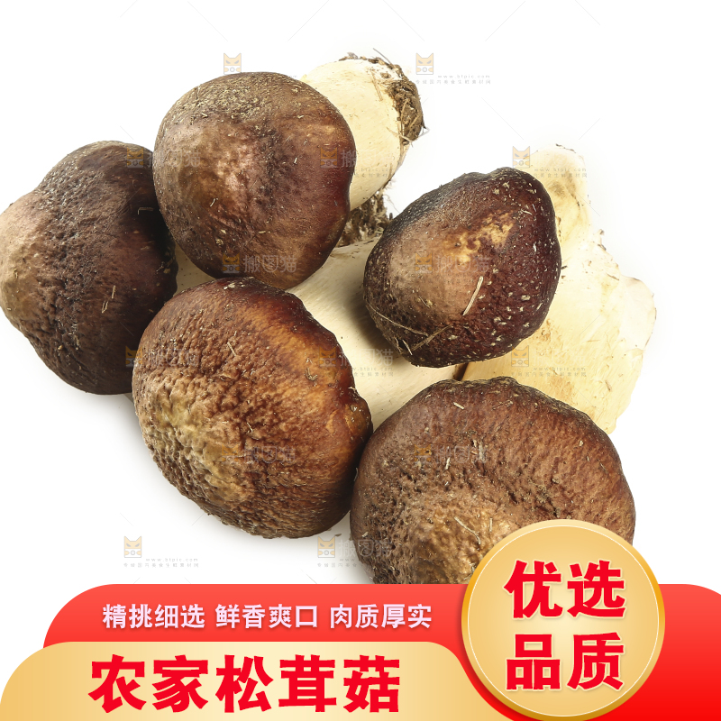 白底上放着松茸菇