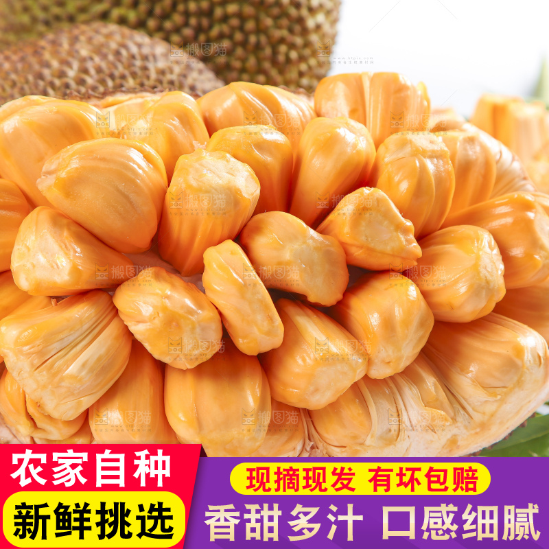 白底上放着新鲜红肉菠萝蜜