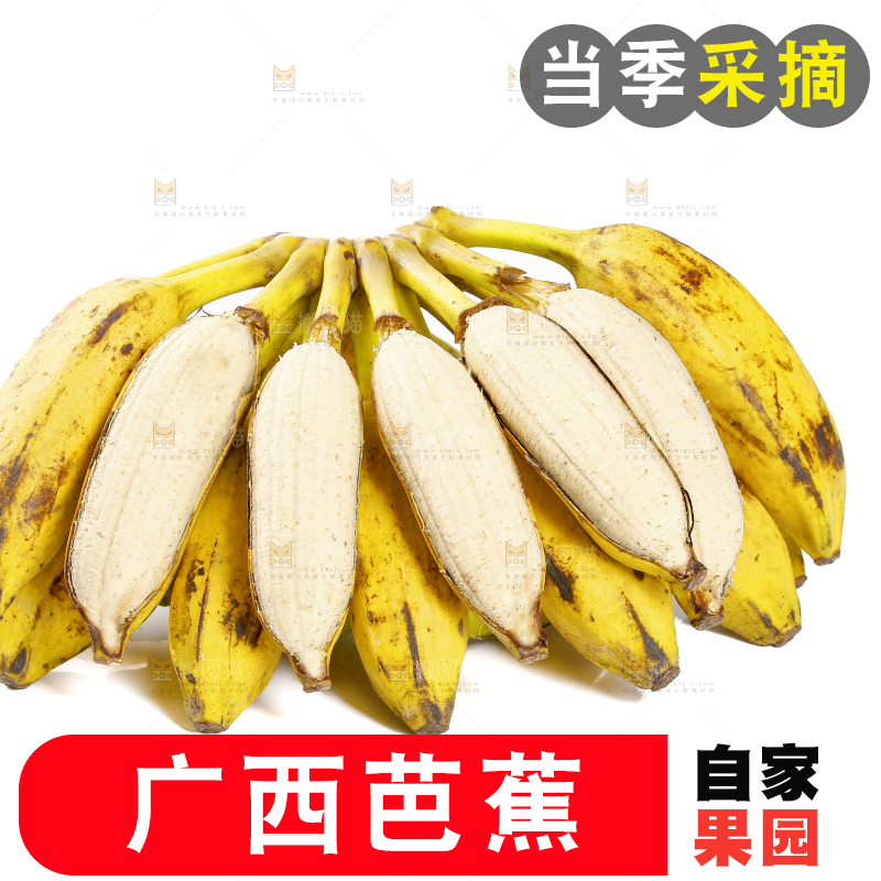 一串芭蕉