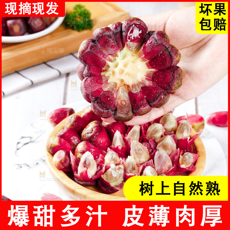 手里拿着恶魔果