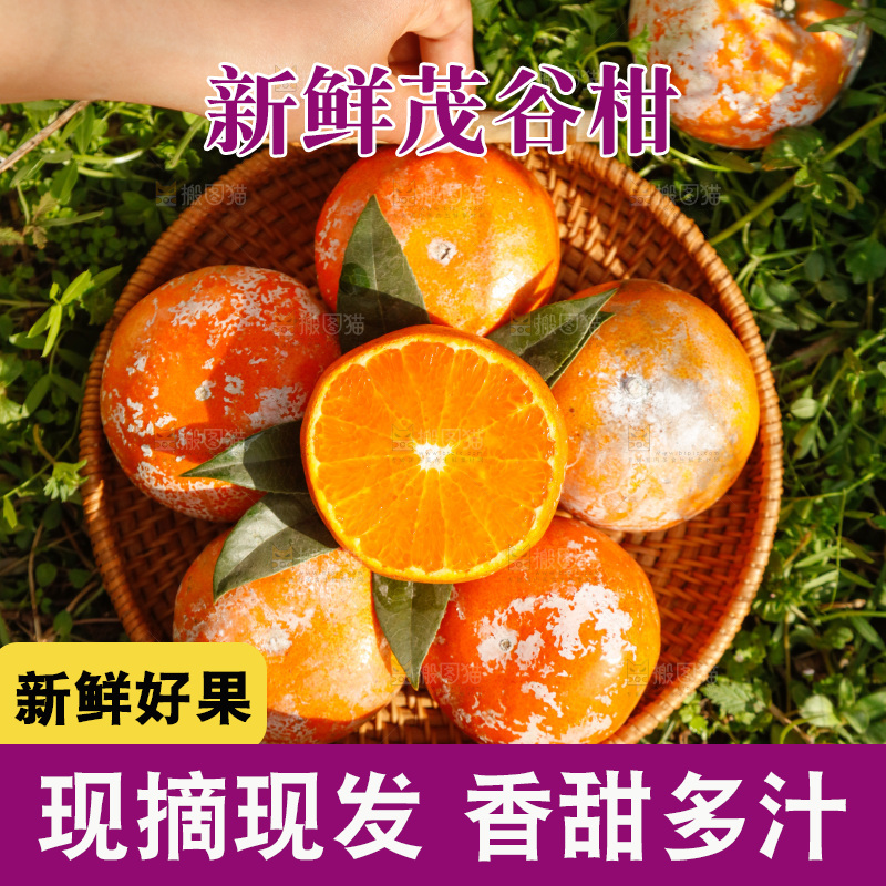 一篮新鲜茂谷柑