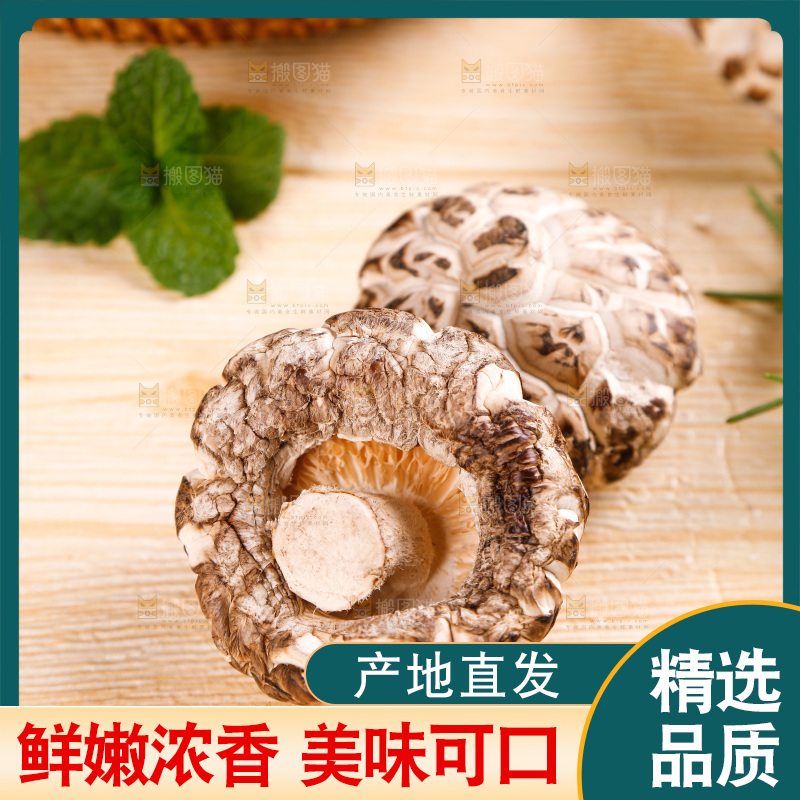 木底上放着东北椴木花菇