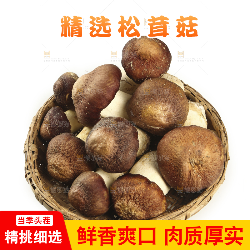 一篮赤松茸