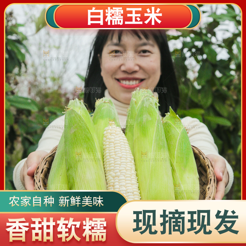 一篮新鲜白糯玉米