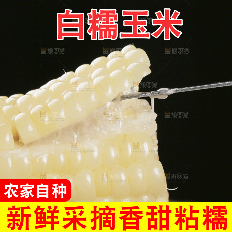 叉子上插着甜糯白玉米