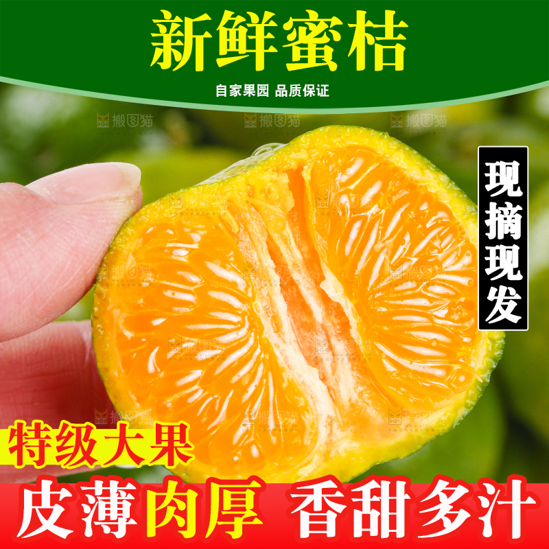 手里拿着清香桔