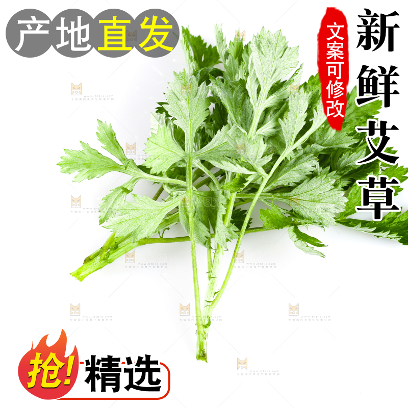 白底上放着艾草叶