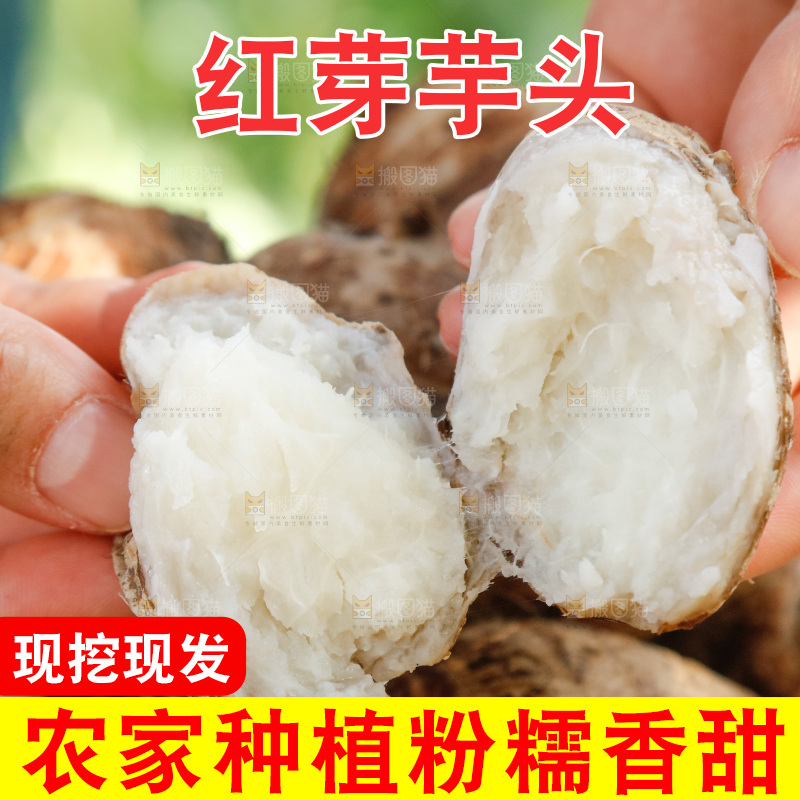 手里拿着小芋头