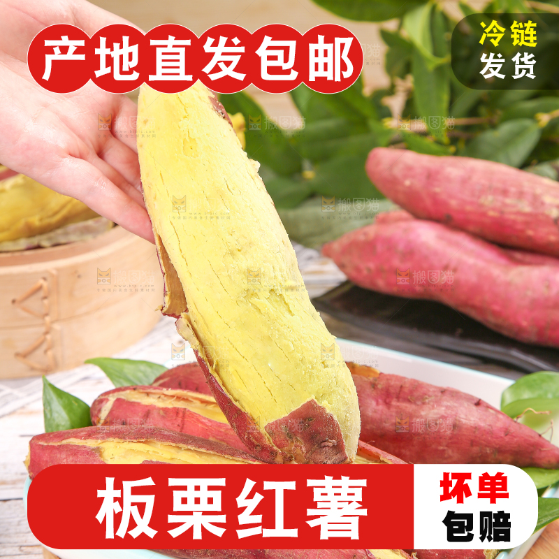 手里拿着黄心板栗薯