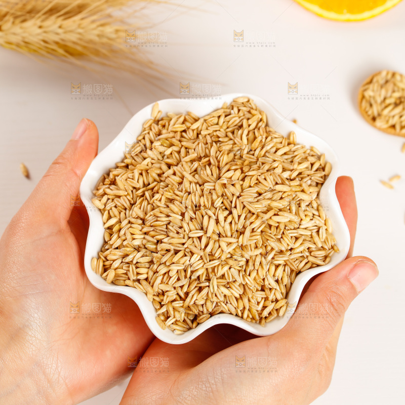 手里端着一碗燕麦仁